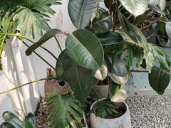 -云里小坐·小院里·团建·宴请·下午茶(三圣乡店)