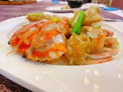-欢乐海岸美食联盟