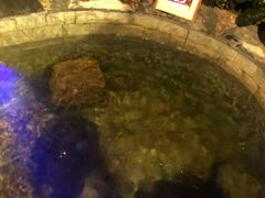 -泉城欧乐堡戏水湾艺术养生温泉