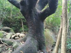 -牛鱼嘴原始生态风景区