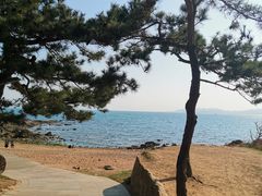 -青岛海滨风景区
