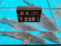 -艳阳天·非遗楚菜(武汉客厅店)