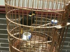 -五悦北平四季涮肉·烧烤(老商埠店)