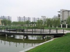 -南开大学滨海学院