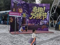 -南湖梦幻岛