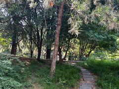 -西苑公园