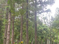 -人民公园(罗湖区)