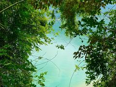 -羚羊峡古栈道森林公园