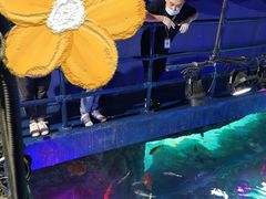 -沈阳海洋探索中心