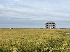 -红海滩国家风景廊道
