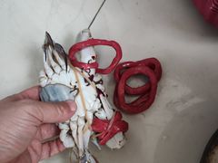 -塔湾北行农贸市场