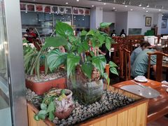 大堂-大草原清真饭庄(沙河店)