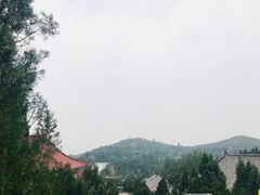 -龙口南山旅游景区