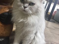 -小时光咖啡馆(开森度假森林店)