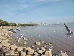 -深圳湾公园(南山区)