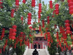 -三水森林公园