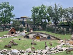 -祥源·阜阳生态乐园