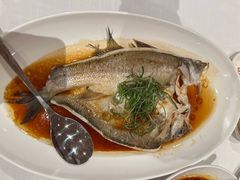 -醉辉皇原味海鲜江南菜(成都大魔方店)