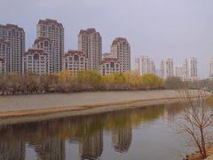 -桃花堤公园