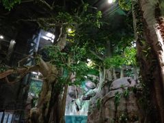 -福州罗源湾海洋世界旅游区