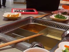 -海底捞火锅(龙岗星河COCO Park店)