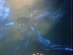 -腾冲和顺柏联酒店