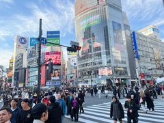 -涩谷全向十字路口