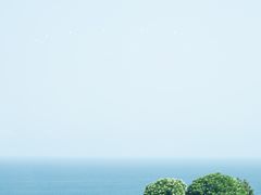 -瑰丽酒店·海吧·天际下午茶·现场DJ·天台酒吧