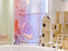 -藏猫猫咖啡主题馆(中央大道店)