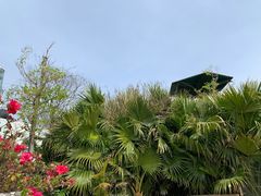 -华侨城阳宗海海景温泉