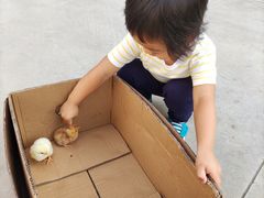 -兴芮温泉度假区