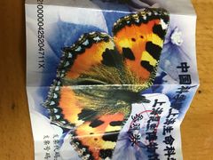 -上海昆虫博物馆