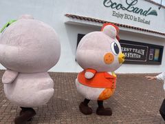 -济州森林小火车生态公园
