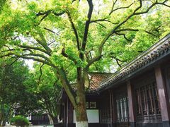 -包公祠