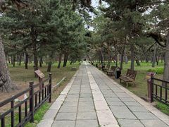 -北陵公园