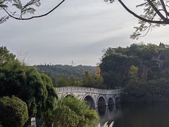 -重庆园博园