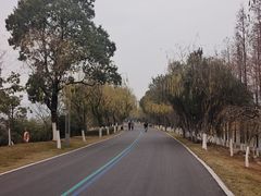 -岳阳阿波罗御庭酒店