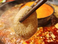 -三江两海老火锅(北京首店)