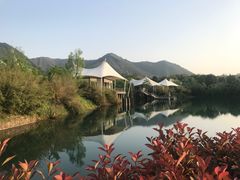 -帐篷客·溪龙茶谷度假酒店