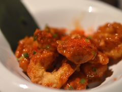 -Hatsune隐泉日式料理(三里屯太古里店)