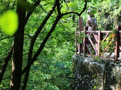 -融水老君洞景区
