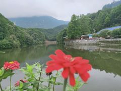 -浏阳石牛寨风景区