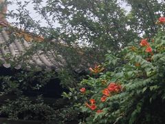 -中华郡温泉