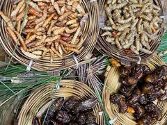 -昆虫窝子·特色云南菜(拓东路总店)