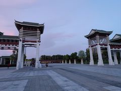 -王借岗森林公园