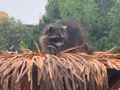 -石家庄市动物园