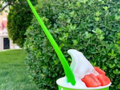 -Salud撒露欧洲冻酸奶(蓝色港湾店)