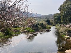 -中国茶叶博物馆(双峰馆区)
