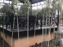 -三江森林温泉度假区