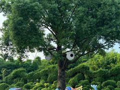 -东南花都花博园